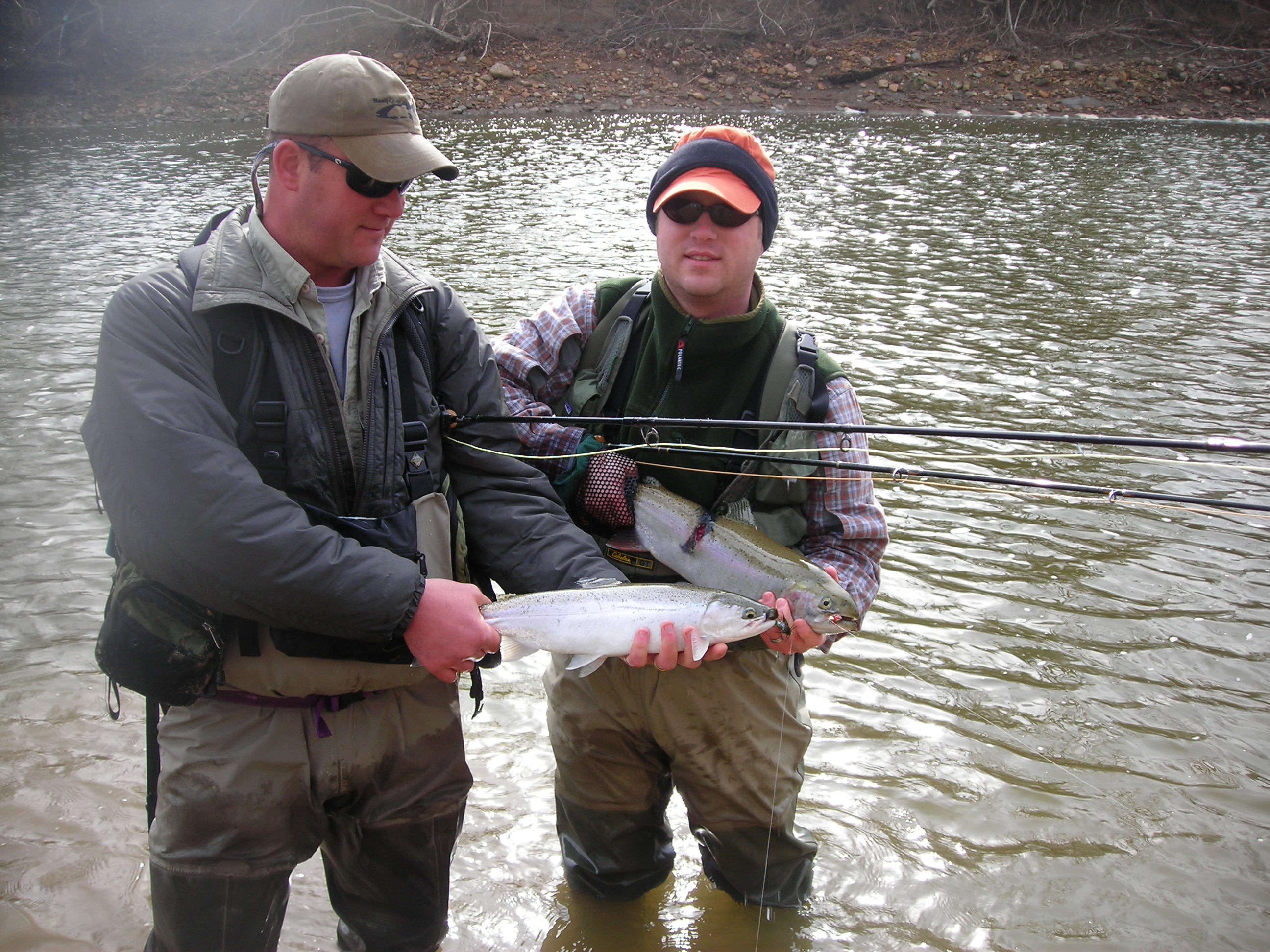 steelhead001.jpg