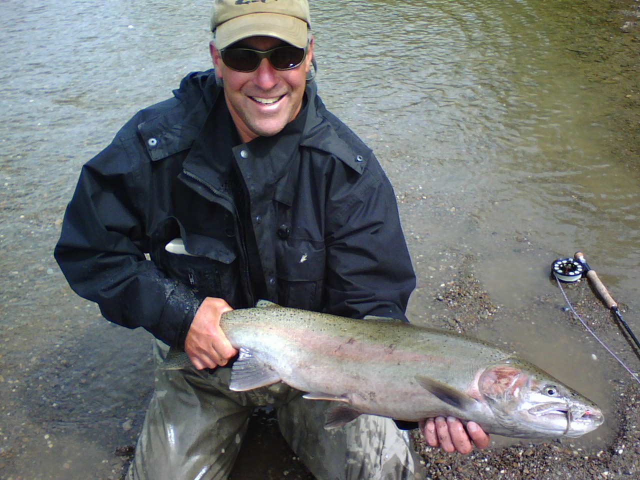 steelheadpix1.jpg